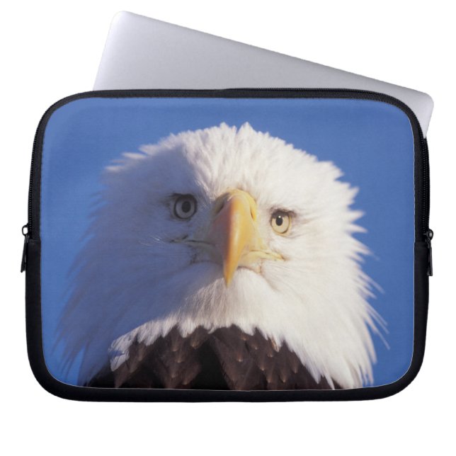 bald eagle, Haliaeetus leucocephalus, head shot, Laptop Sleeve (Front)