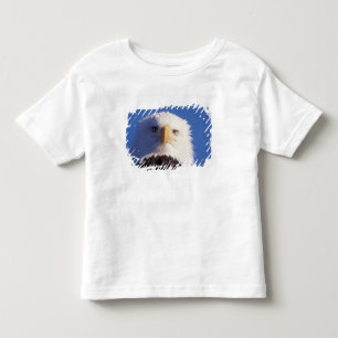 bald eagle, Haliaeetus leucocephalus, head shot, Toddler T-shirt