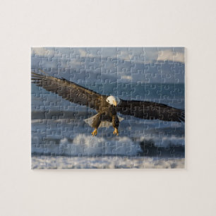 Bald Eagle, Haliaeetus leucocephalus, Homer, 3 Jigsaw Puzzle