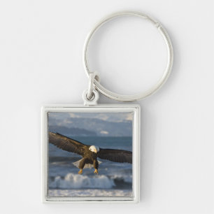 Bald Eagle, Haliaeetus leucocephalus, Homer, 3 Keychain