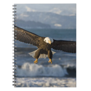 Bald Eagle, Haliaeetus leucocephalus, Homer, 3 Notebook