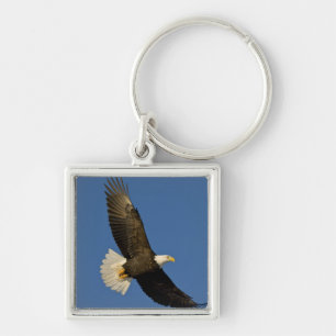 Bald Eagle, Haliaeetus leucocephalus, Homer, Keychain