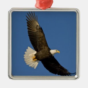 Bald Eagle, Haliaeetus leucocephalus, Homer, Metal Ornament