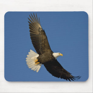 Bald Eagle, Haliaeetus leucocephalus, Homer, Mouse Pad