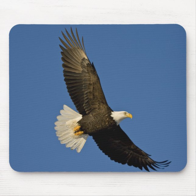 Bald Eagle, Haliaeetus leucocephalus, Homer, Mouse Pad (Front)
