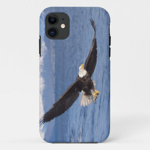 bald eagle, Haliaeetus leucocephalus, in flight 4 iPhone 11 Case
