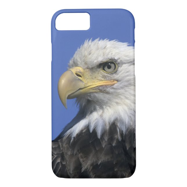 Bald Eagle, (Haliaeetus leucocephalus), wild, Case-Mate iPhone Case (Back)