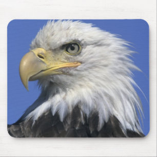 Bald Eagle, (Haliaeetus leucocephalus), wild, Mouse Pad