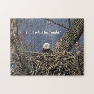 Bald Eagle having a bad hair day Jigsaw Puzzle