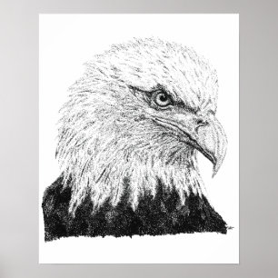 Bald Eagle Head Hand Drawn Black White Arrtwork Poster