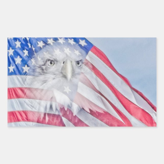 Bald Eagle Head & the American Flag Sticker (Front)