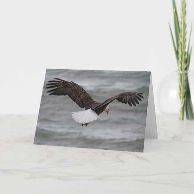 Bald Eagle Hunting  Thank You Card (Front)