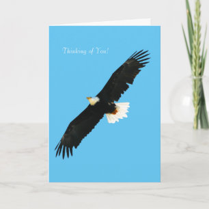 Bald Eagle image for Greeting-card Card