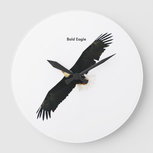 Bald Eagle image for Round-Large-Wall-Clock Large Clock (Front)
