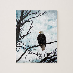 Bald Eagle in a Tree With Blue Sky and Clouds Jigsaw Puzzle