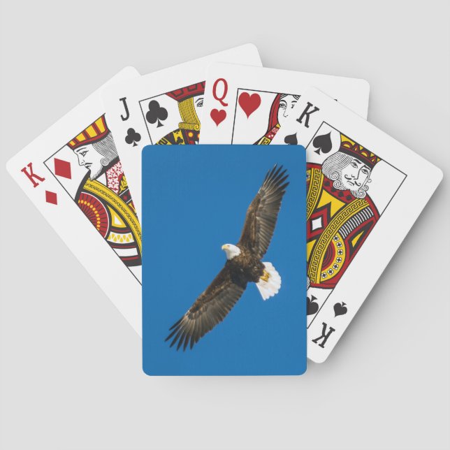Bald Eagle In Clear Blue Sky Playing Cards (Back)