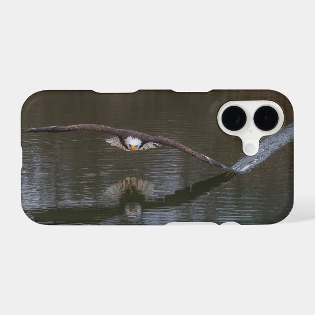 Bald Eagle in Flight (Back (Horizontal))