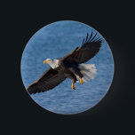 Bald eagle in flight 2 inch round button<br><div class="desc">Bald eagle,  Homer,  Southcentral Alaska</div>