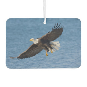 Bald eagle in flight air freshener