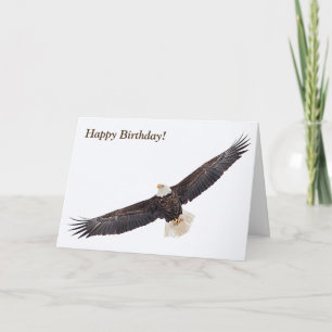 Bald Eagle in flight Card