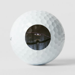 Bald Eagle in Flight Golf Balls