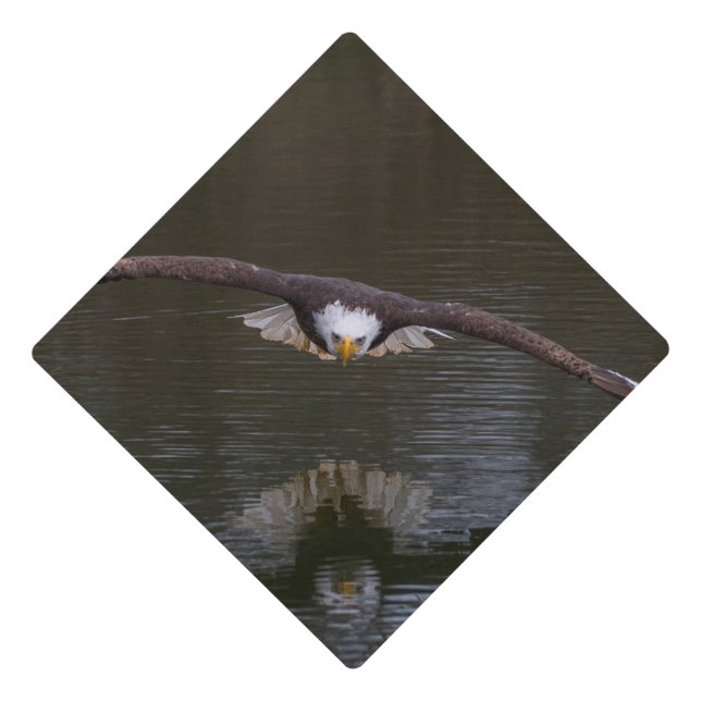 Bald Eagle in Flight Graduation Cap Topper (Front)