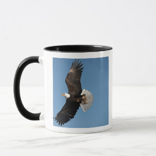 Bald Eagle in Flight, Haliaeetus leucocephalus, 2 Mug