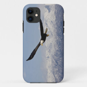 Bald Eagle in Flight, Haliaeetus leucocephalus, 3 iPhone 11 Case