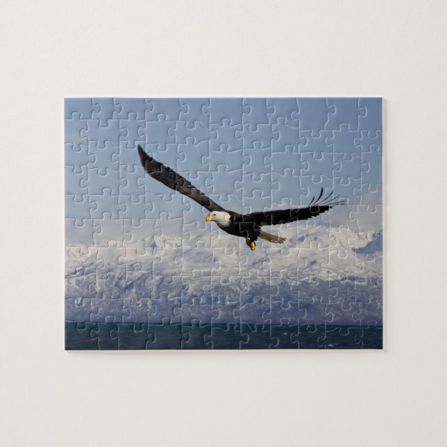 Bald Eagle in Flight, Haliaeetus leucocephalus, 3 Jigsaw Puzzle (Horizontal)