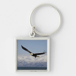 Bald Eagle in Flight, Haliaeetus leucocephalus, 3 Keychain