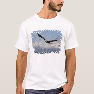 Bald Eagle in Flight, Haliaeetus leucocephalus, 3 T-Shirt