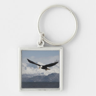 Bald Eagle in Flight, Haliaeetus leucocephalus, Keychain
