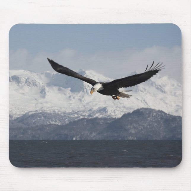 Bald Eagle in Flight, Haliaeetus leucocephalus, Mouse Pad (Front)