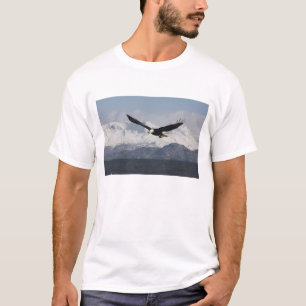 Bald Eagle in Flight, Haliaeetus leucocephalus, T-Shirt