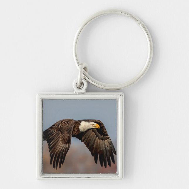 Bald Eagle in flight Keychain (Front)