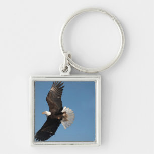 Bald Eagle in Flight Keychain