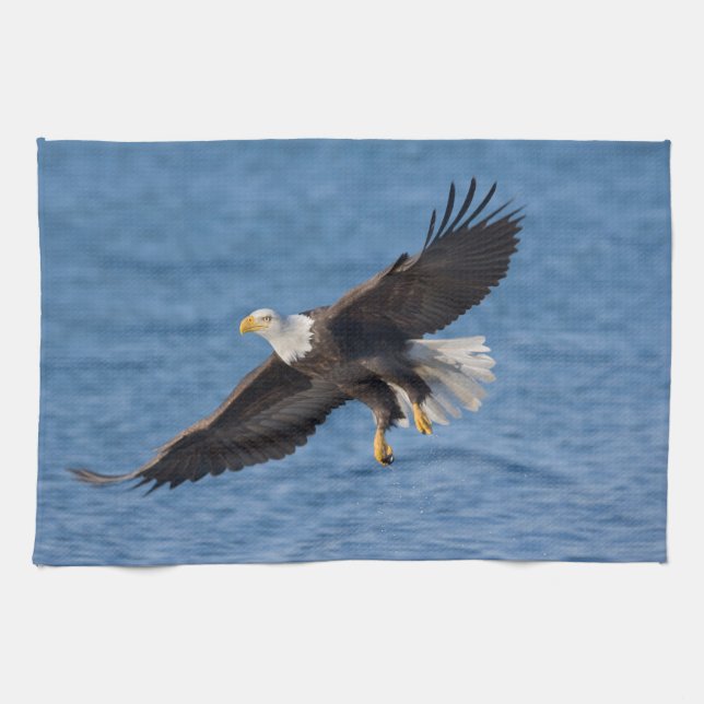 Bald eagle in flight kitchen towel (Horizontal)