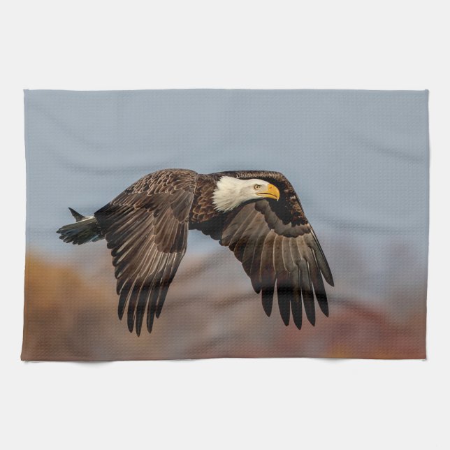 Bald Eagle in flight Kitchen Towel (Horizontal)