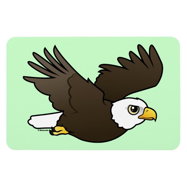 Bald Eagle in flight Magnet (Horizontal)