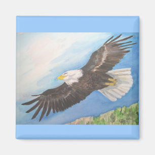 Bald Eagle in Flight Magnet