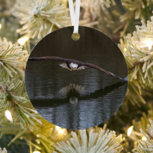 Bald Eagle in Flight Metal Ornament
