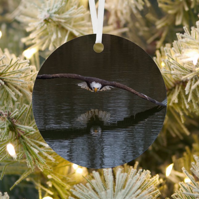 Bald Eagle in Flight Metal Ornament (Insitu)