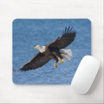 Bald eagle in flight mouse pad<br><div class="desc">Bald eagle,  Homer,  Southcentral Alaska</div>