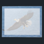 Bald eagle in flight notepad<br><div class="desc">Bald eagle,  Homer,  Southcentral Alaska</div>