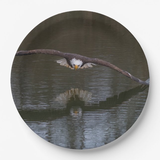 Bald Eagle in Flight Paper Plate (Front)