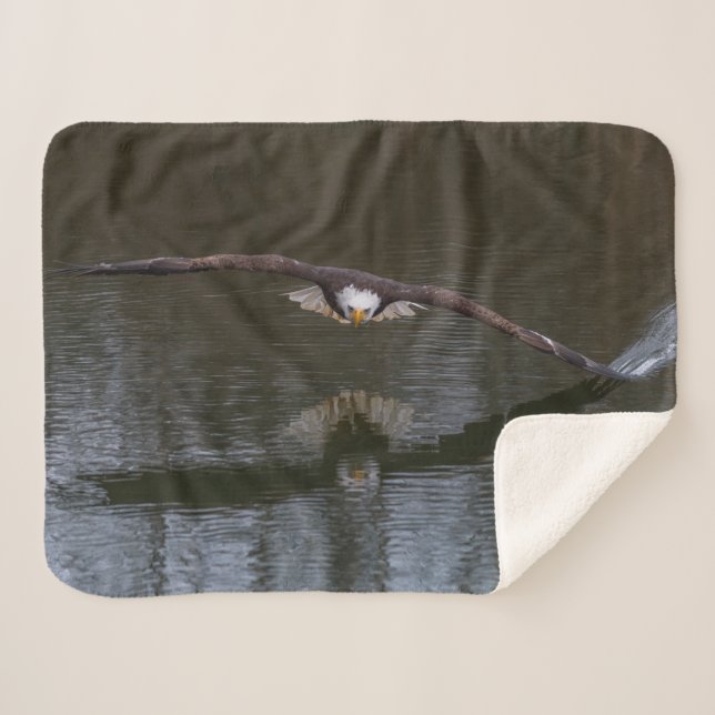 Bald Eagle in Flight Sherpa Blanket (Front (Horizontal))