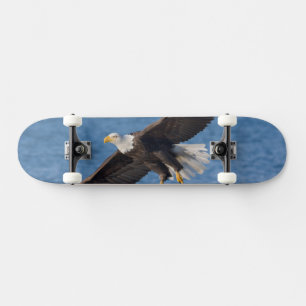 Bald eagle in flight skateboard