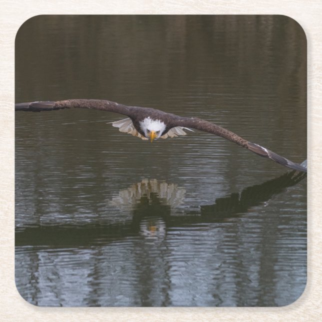 Bald Eagle in Flight Square Paper Coaster (Front)