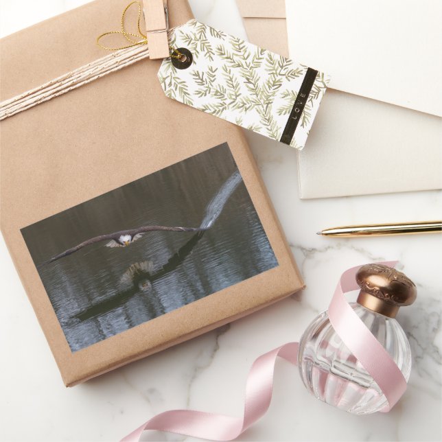 Bald Eagle in Flight Sticker (Gifting)
