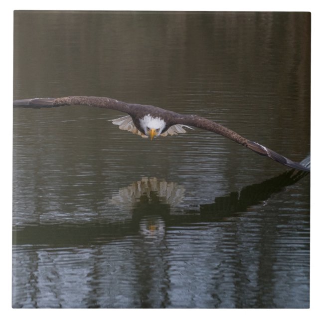 Bald Eagle in Flight Tile (Front)